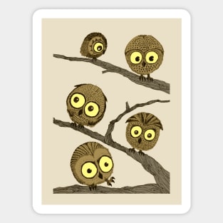 Owls in the Woods Magnet